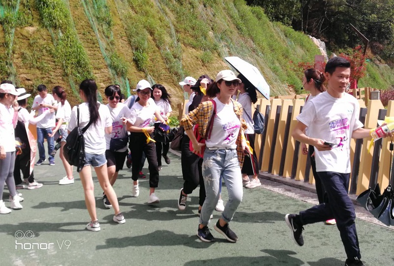 攜手并進(jìn)·沖刺2019|MG不朽情緣物里營銷中心登山拓展活動圓滿結(jié)束!