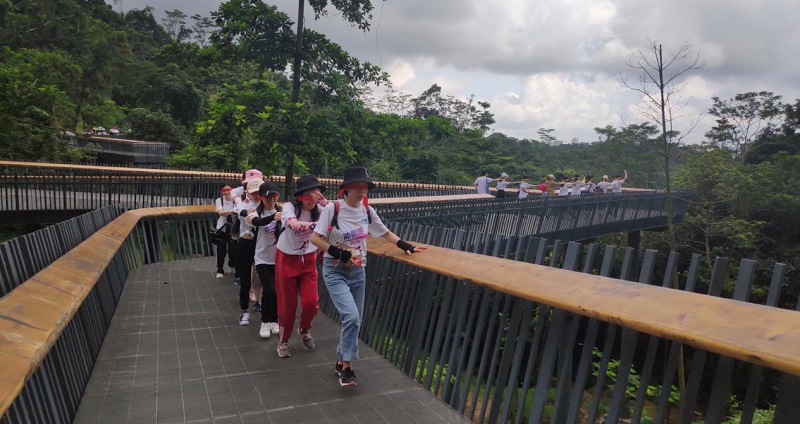 攜手并進(jìn)·沖刺2019|MG不朽情緣物里營銷中心登山拓展活動圓滿結(jié)束!