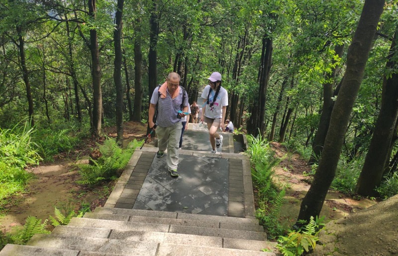 攜手并進(jìn)·沖刺2019|MG不朽情緣物里營銷中心登山拓展活動圓滿結(jié)束!