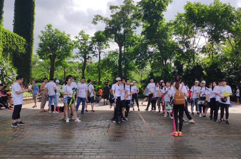 攜手并進(jìn)·沖刺2019|MG不朽情緣物里營銷中心登山拓展活動圓滿結(jié)束!