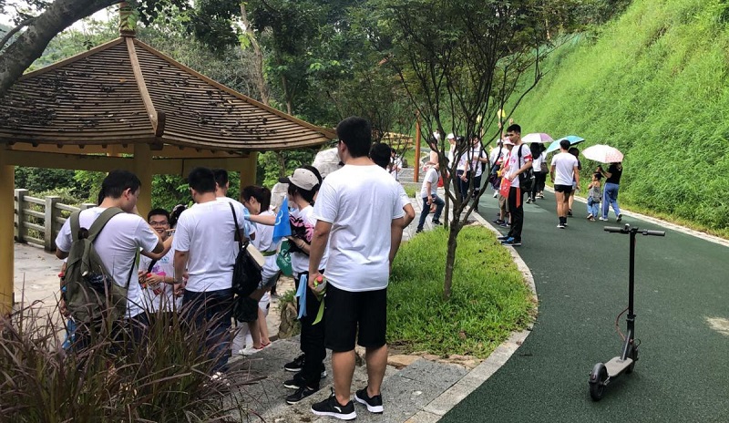 攜手并進(jìn)·沖刺2019|MG不朽情緣物里營銷中心登山拓展活動圓滿結(jié)束!